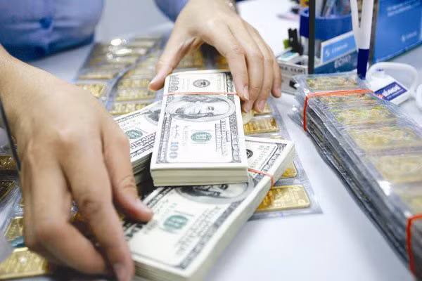 18日越南各家商业银行的越盾兑美元中心汇率继续大幅度波动 ảnh 1