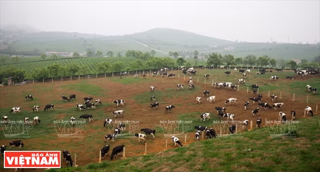 山罗省的三大优势 ảnh 4