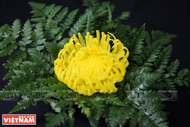 木瓜雕花艺术（组图） ảnh 11