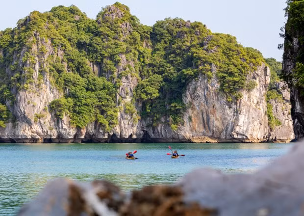 越南旅游业如何在新背景下推进数字化转型 ảnh 3 越南旅游业如何在新背景下推进数字化转型 ảnh 3