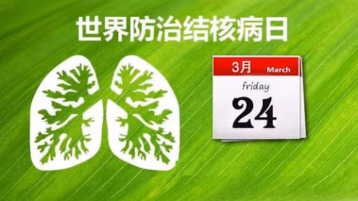 世界防治结核病日:投入终结结核病是投入可持续发展 ảnh 1 世界防治结核病日:投入终结结核病是投入可持续发展 ảnh 1