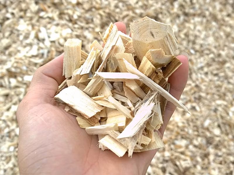 中国是越南最大的木屑出口市场 ảnh 1