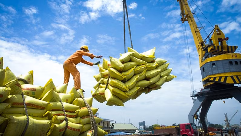 越南大米对塞内加尔出口潜力巨大 ảnh 1 越南大米对塞内加尔出口潜力巨大 ảnh 1