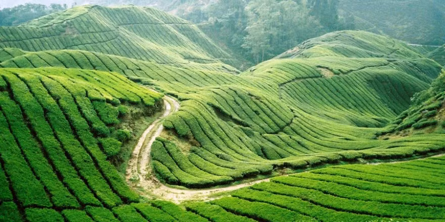 前往木州高原度周末 ảnh 1