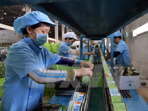 越南恢复正常生产经营活动的企业数量呈回升加速之势 ảnh 1