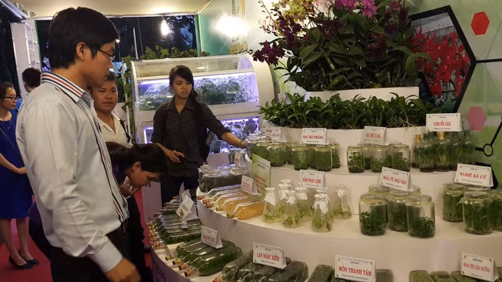 2015越南高科技农业与食品工业展览会吸引近150家企业参加 ảnh 1