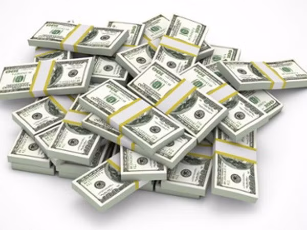 2015年汇回胡志明市的侨汇总额或达55亿美元 ảnh 1