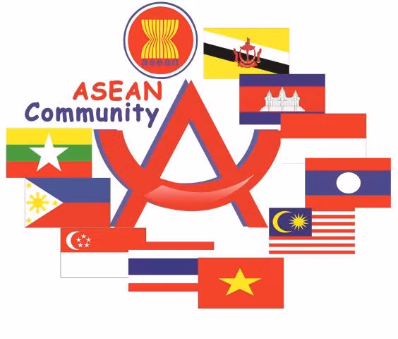 融入东盟：将认识化为行动 ảnh 1