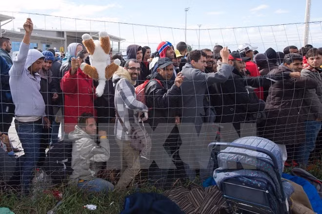 题为“欧洲危机——德国与欧洲政治情况”座谈会在河内举行 ảnh 1