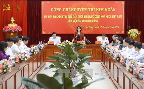 越南国会主席阮氏金银赴高平省调研 ảnh 1