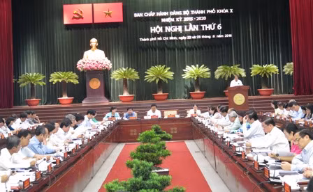 胡志明市推进电子政府建设 更好服务人民和企业 ảnh 1