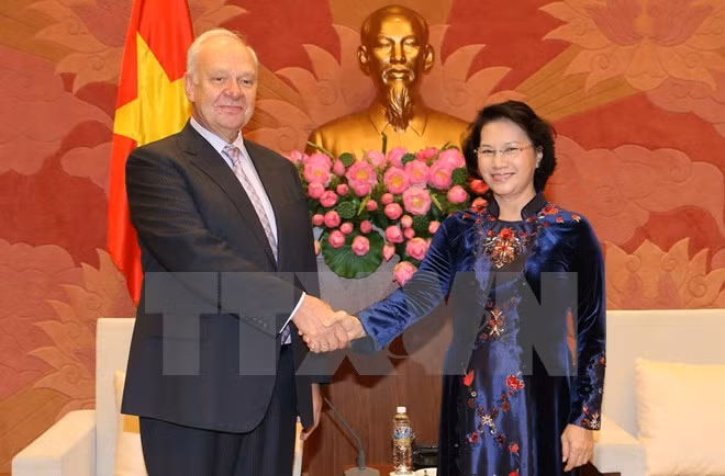 越南国会主席阮氏金银：越南将俄罗斯视为其对外政策中的首要优先 ảnh 1