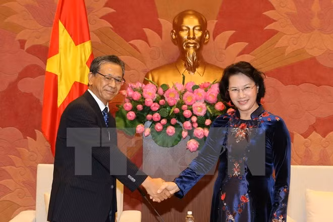 越南国会主席阮氏金银会见日本驻越大使大岛浩 ảnh 1 越南国会主席阮氏金银会见日本驻越大使大岛浩 ảnh 1