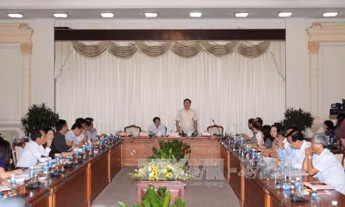 胡志明市市委书记丁罗升：胡志明市需要一个特殊机制 ảnh 1