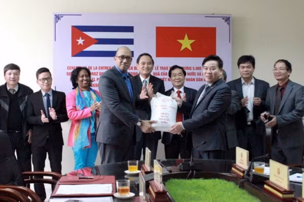 越南向古巴赠送5000吨大米 ảnh 1 越南向古巴赠送5000吨大米 ảnh 1