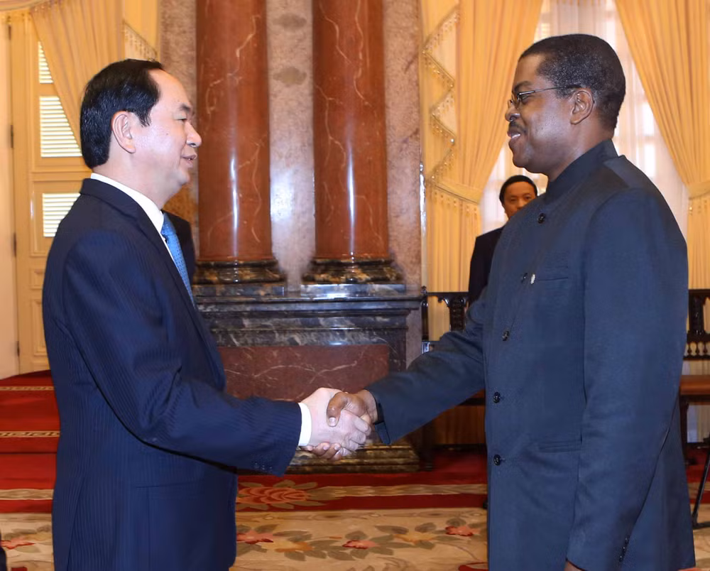 越南国家主席陈大光会见前来递交国书的各国新任驻越大使 ảnh 4 越南国家主席陈大光会见前来递交国书的各国新任驻越大使 ảnh 4