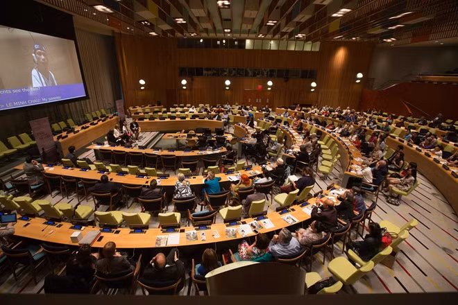 联合国举行有关越南橙毒剂受害者的纪录短片放映会 ảnh 1