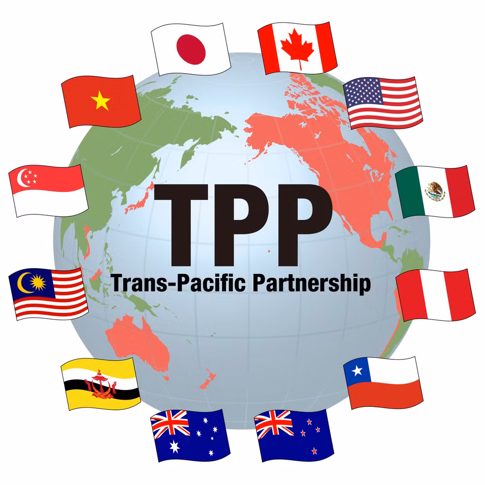TPP及其对越南所产生的影响 ảnh 1