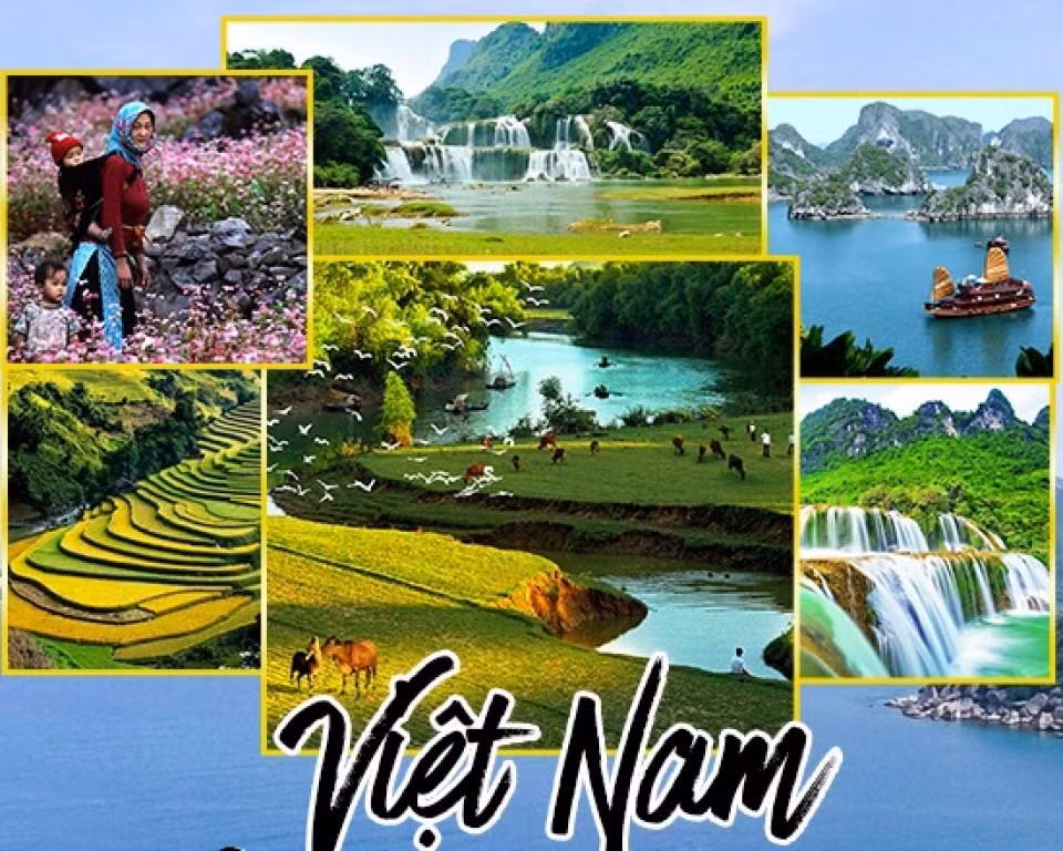 深化越南与各重要市场的旅游合作 ảnh 1