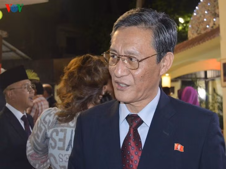 越南在建设和平过程中发挥积极作用 ảnh 1