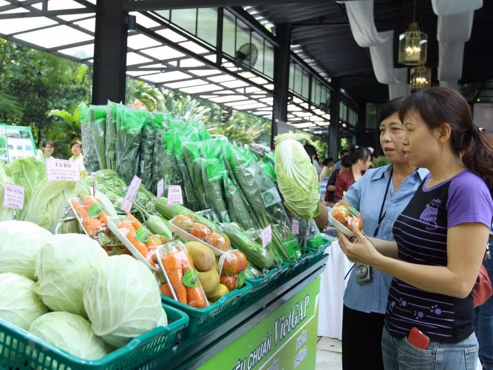 2019年8月份越南蔬果出口额达2.46亿美元 ảnh 1