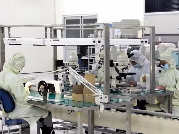 越南政治保持稳定 经济将继续蓬勃发展 ảnh 1