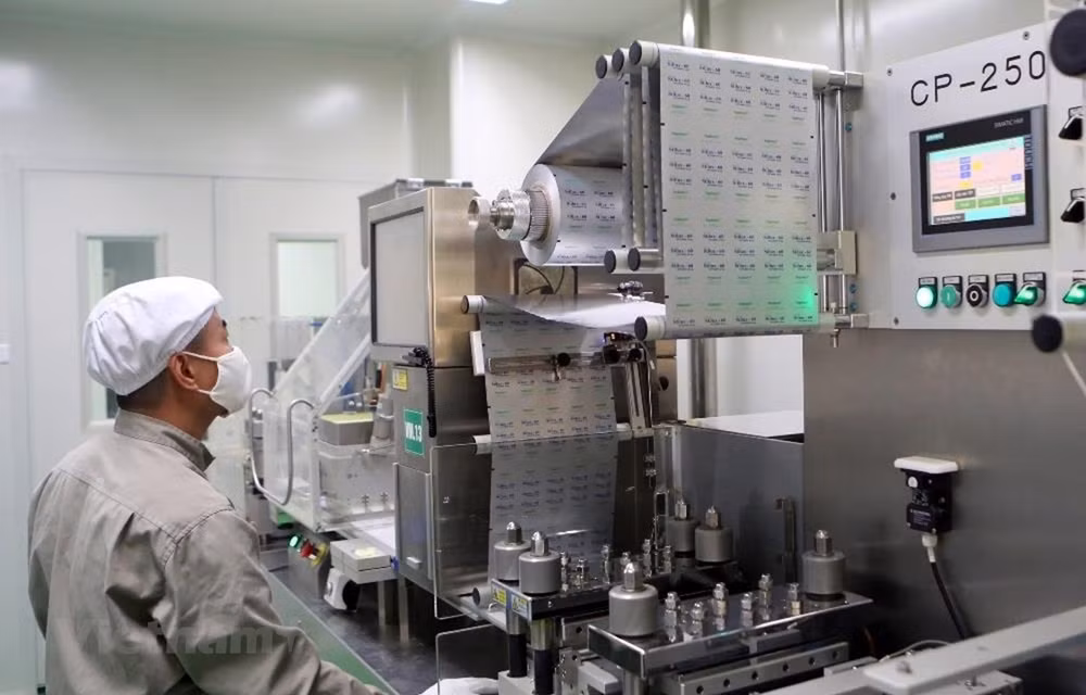 2021年越南经济前景：越南将成为“亮点”（二） ảnh 1