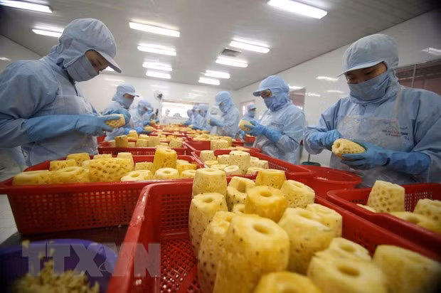 2021年4个月越南蔬果出口额同比增长9.5% ảnh 1