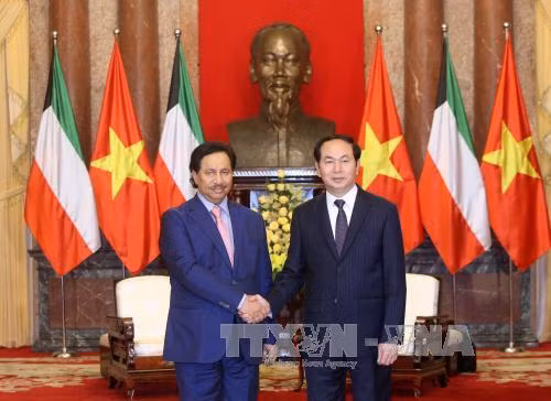 越南国家主席陈大光：将科威特视为越南在中东的头等重要伙伴 ảnh 1