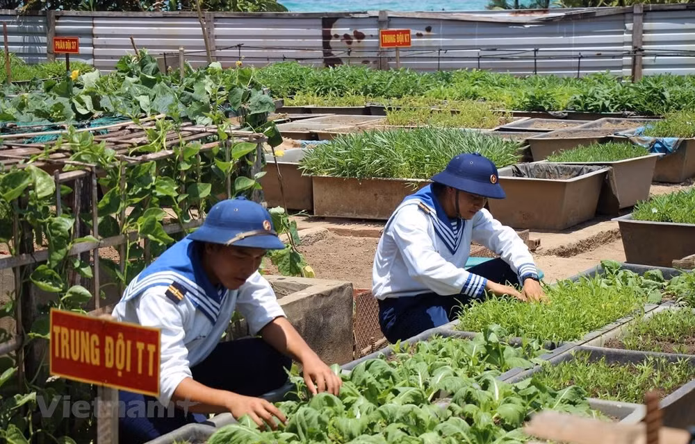 波涛汹涌的长沙换发新活力 ảnh 1