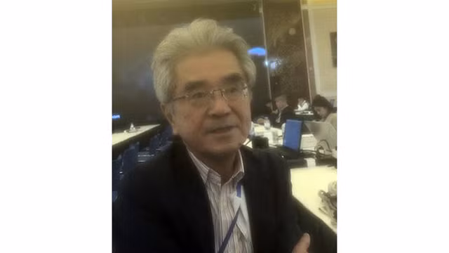 越南为和平与稳定大局作出重要贡献 ảnh 7