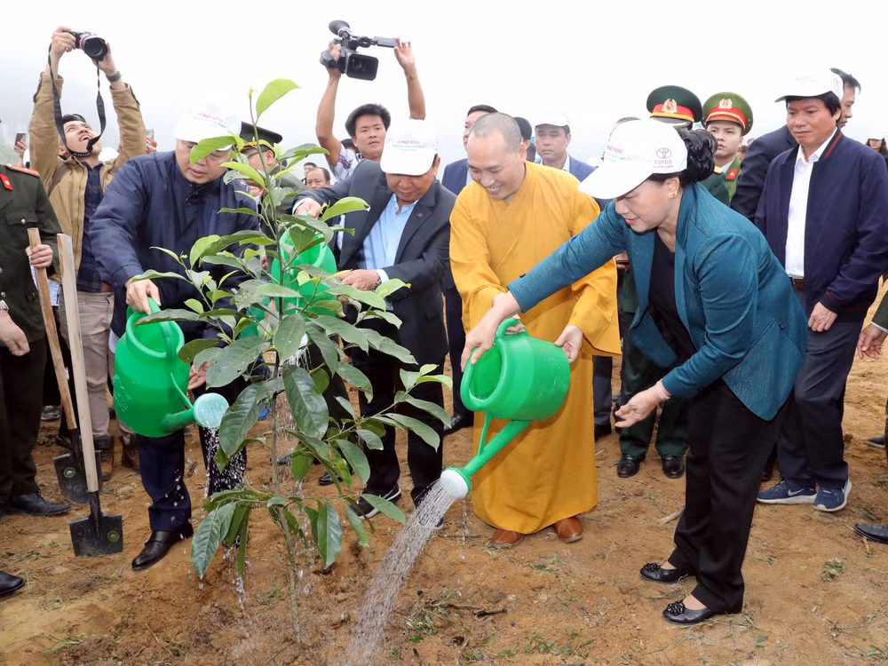 国会主席阮氏金银出席和平省植树造林出征仪式 ảnh 1 国会主席阮氏金银出席和平省植树造林出征仪式 ảnh 1