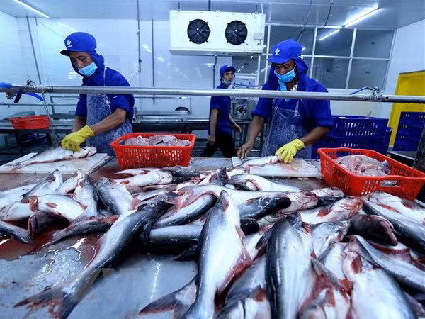 越南水产部门力争实现2019年出口额达100亿美元的目标 ảnh 1