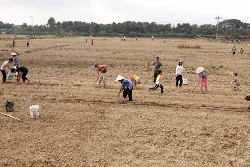 关于未被观察到的经济部门的统计提案获批 ảnh 1 关于未被观察到的经济部门的统计提案获批 ảnh 1