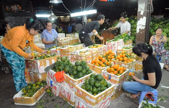 越南水果应加大国内市场的开拓 ảnh 1