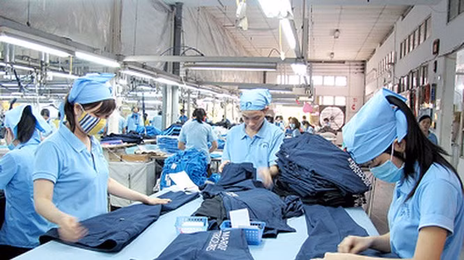 越南纺织业继续吸引外国投资商的眼球 ảnh 1