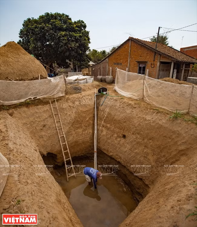九龙江平原挺身抗旱抗碱 ảnh 9