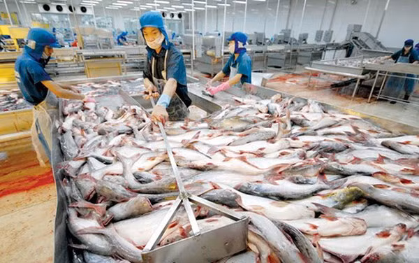 今年前4月越南水产品出口额同比下降10% ảnh 1
