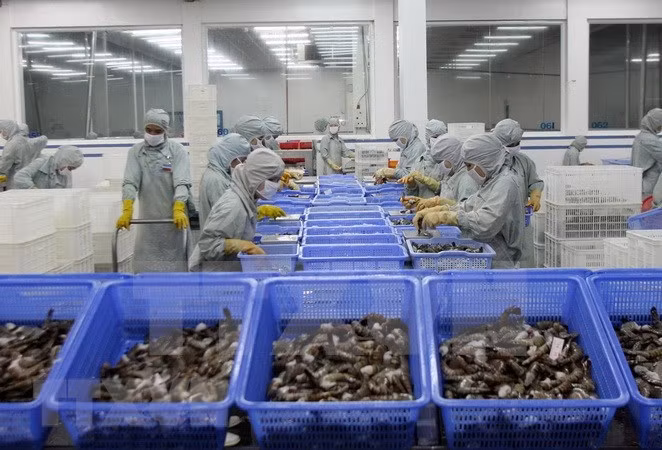 越南虾产业努力恢复虾类出口市场 ảnh 1