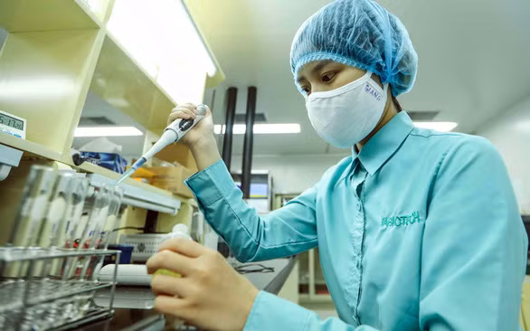 越南在实验小鼠上进行新冠肺炎疫苗动物实验 ảnh 1 越南在实验小鼠上进行新冠肺炎疫苗动物实验 ảnh 1