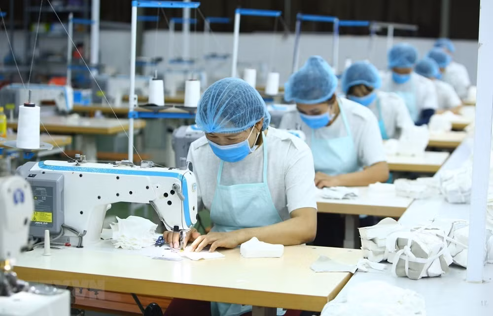 越南纺织服装集中开发潜在市场 ảnh 1