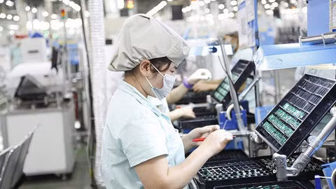 巴地头顿省加大招商引资力度 ảnh 1