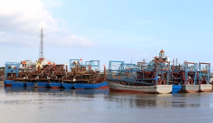 解除IUU“黄牌”：南定省加强对出入港渔船的管控力度 ảnh 1