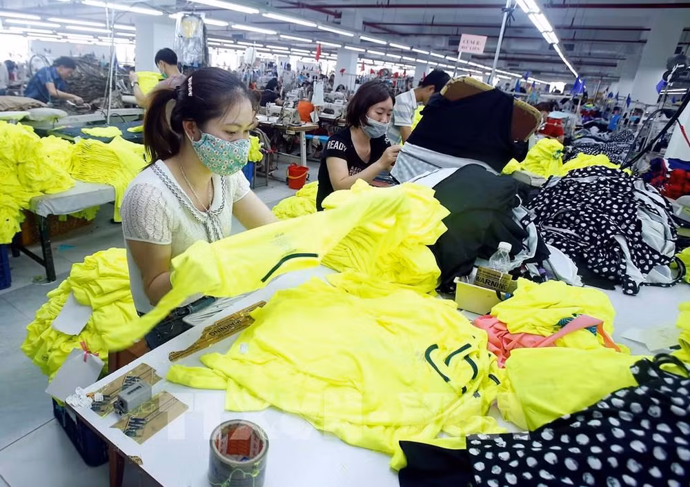 《非洲大陆自由贸易协定》和越南贸易合作机会 ảnh 1