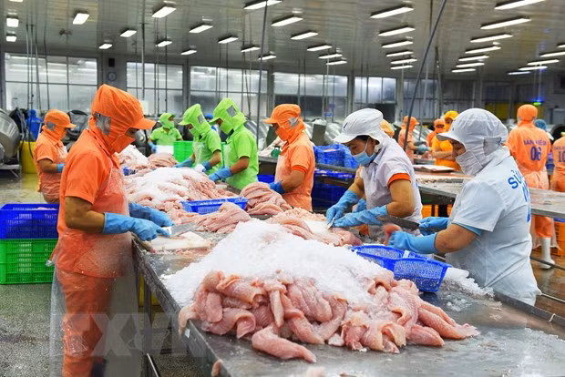 越南商品对以色列出口前景广阔 ảnh 2