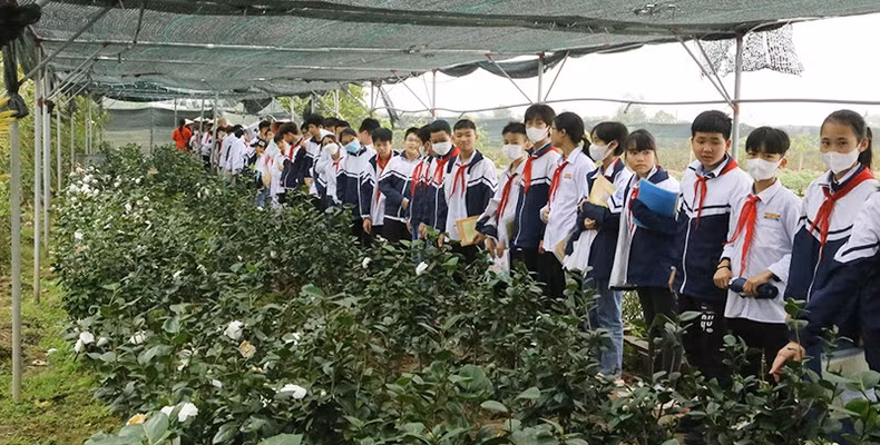 越南红河三角洲南部的农业乡村旅游 ảnh 1