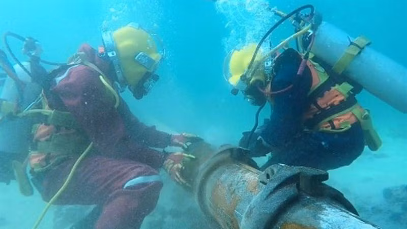 AAG海底电缆S1I段完成修复 互联网流量恢复正常 ảnh 1