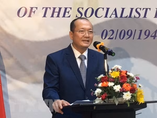 埃及国家电视台制作有关越埃关系的直播节目 ảnh 1 埃及国家电视台制作有关越埃关系的直播节目 ảnh 1