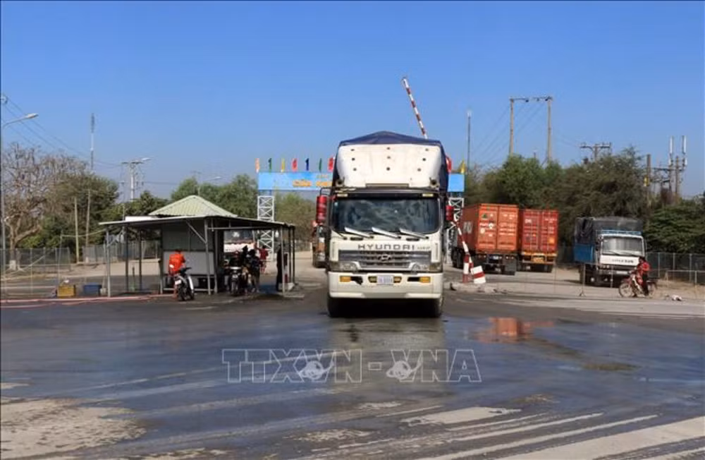 防范和严格处理非法运输家禽入境 ảnh 1 防范和严格处理非法运输家禽入境 ảnh 1