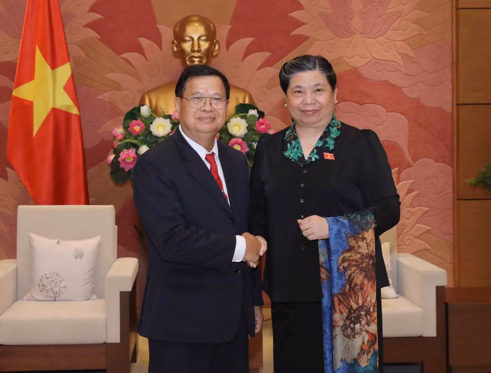 越老两国国会进一步加强合作 ảnh 1